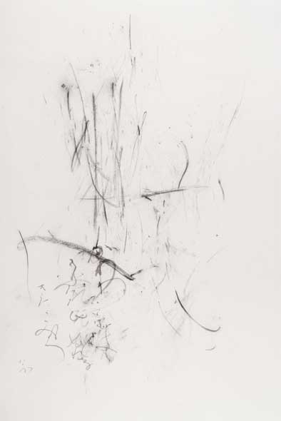Charcoal